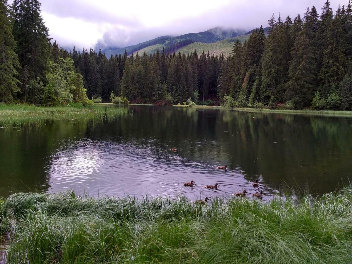 Chalet 3 Domky 182 Деменівська Долина Екстер'єр фото